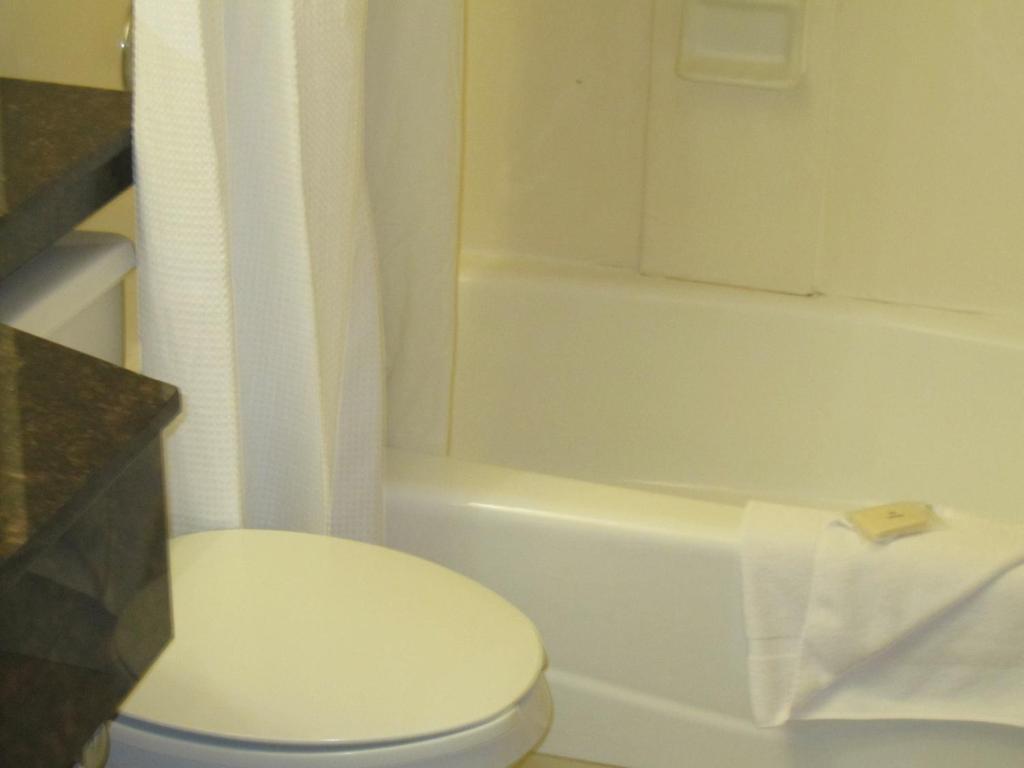 Best Western Long Island City Νέα Υόρκη Δωμάτιο φωτογραφία
